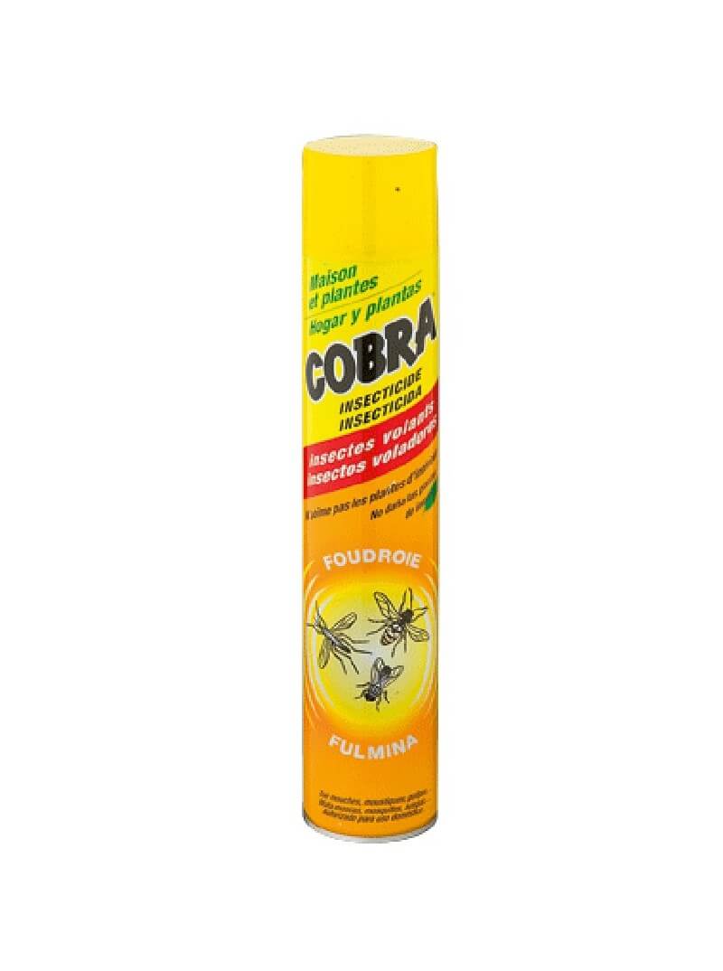 https://www.prorisk.fr/3010-full_default/aerosol-insecticide-750ml.jpg